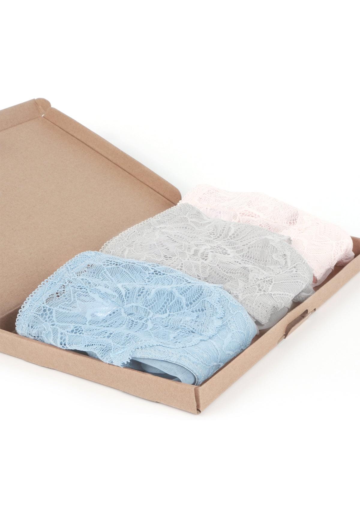 HSIA Blossom Lace Bikini Underwears 3 Pack - HSIA