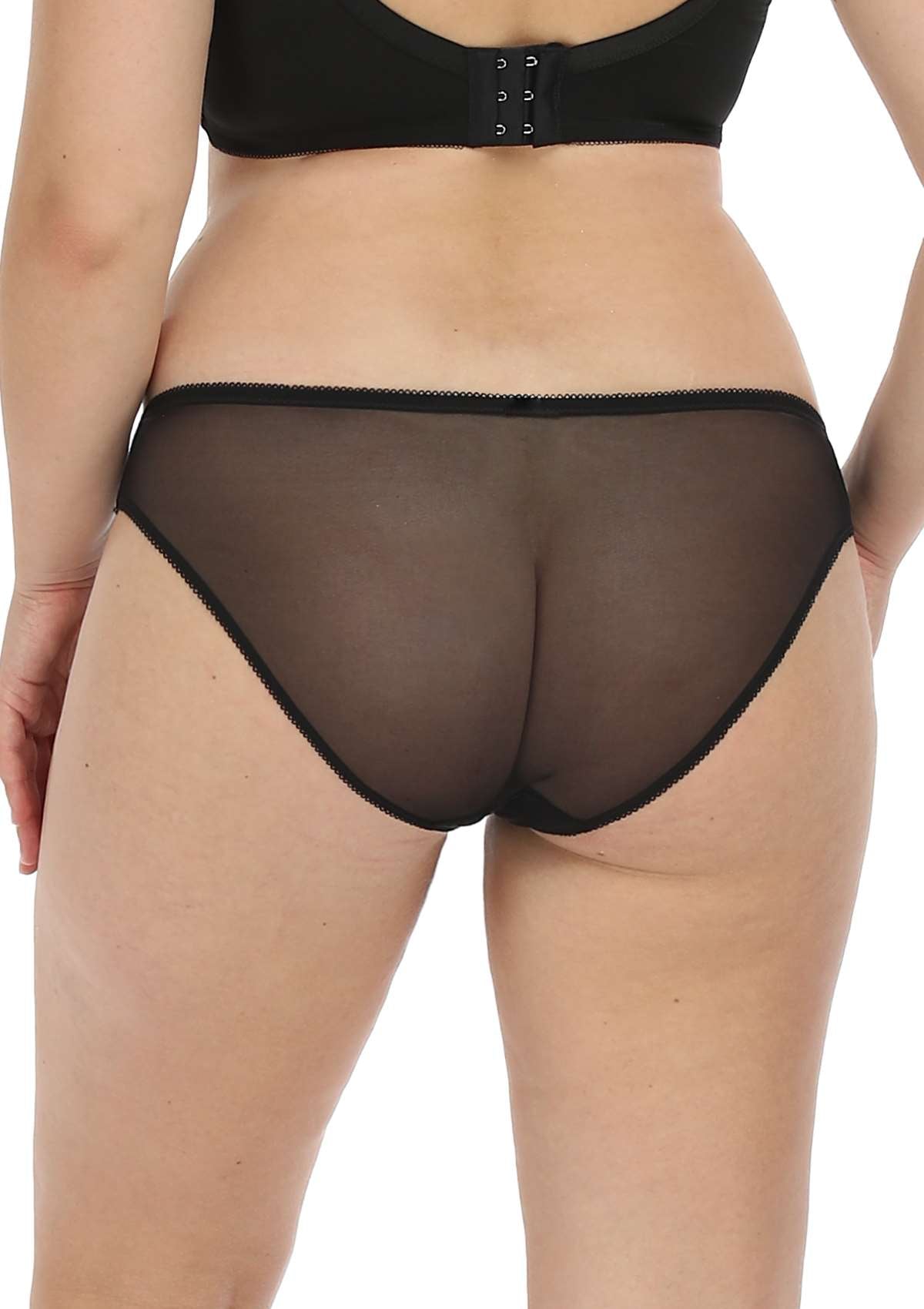 Anemone Lace Dolphin Mid-low Rise Bikini Underwear - HSIA