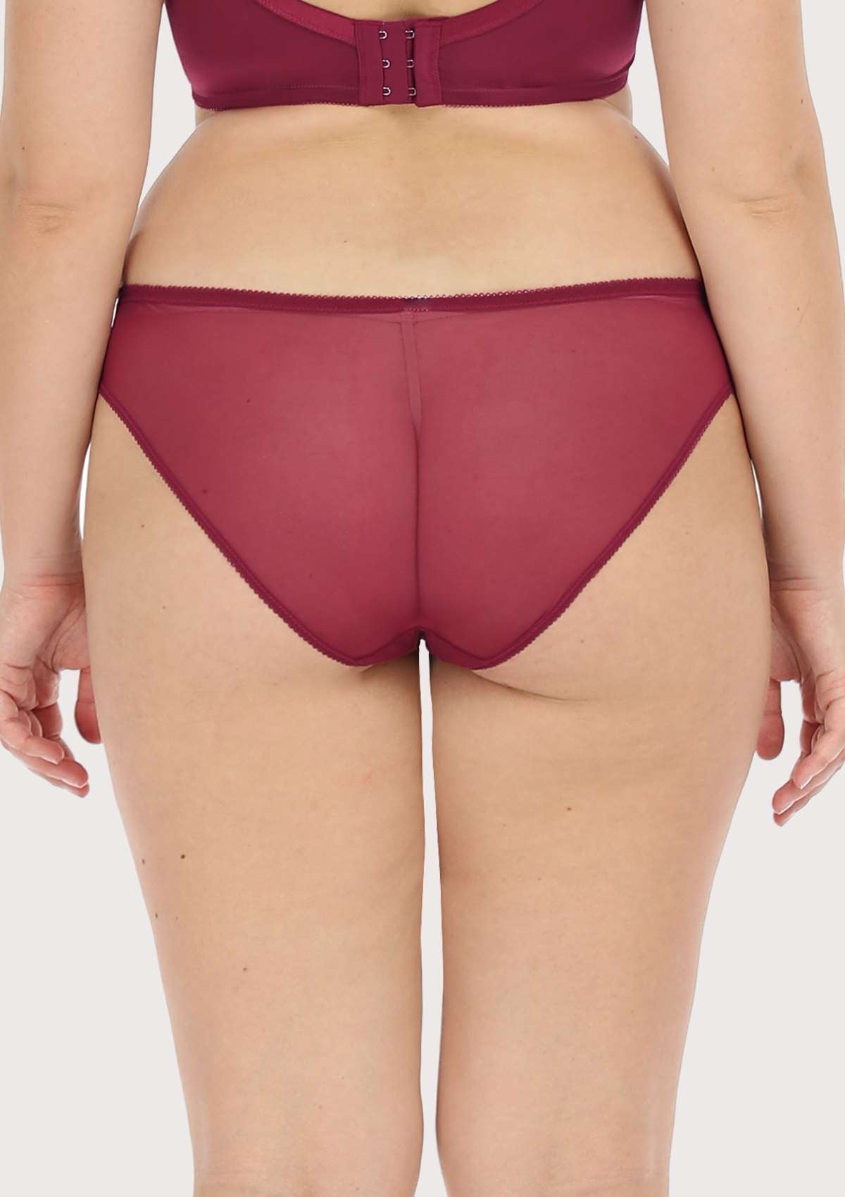Anemone Lace Dolphin Mid-low Rise Bikini Underwear - HSIA