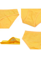 Billie Smooth Sheer Mesh Bikini Underwear - HSIA